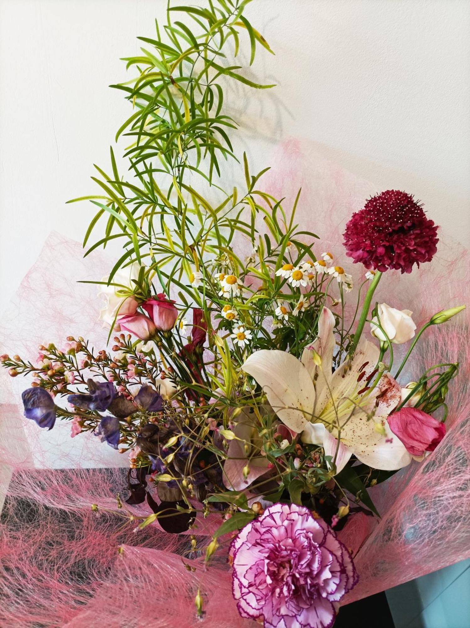 拉加西利Panoramique Floral Centre Festival Photo公寓 外观 照片